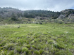 Photo 6 for 14048 S Highway 89
