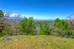 Photo 5 for 4695 S Thousand Oaks Dr