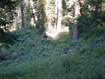Photo 5 for 1709  Pine Loop Rd
