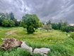 Photo 4 for 901 N Compton Rd