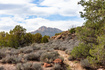 Photo 4 for 2538  Anasazi Way