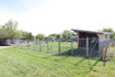 Photo 6 for 983 E Antelope Dr