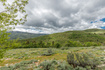 Photo 6 for 13113 E Pine Canyon Rd