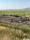 Photo 5 for 2609  Us Highway 36 Hwy