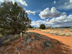 Photo 4 for 1131 E Red Sage Dr