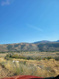 Photo 3 for 13080 E Oak Rd