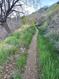 Photo 6 for 3411 N Piute Dr