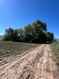 Photo 6 for 2968 W 7300 S