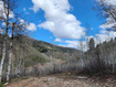 Photo 4 for 11626  Sunridge Cir