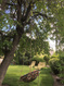 Photo 6 for 1244 E Lorraine Dr