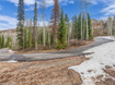 Photo 3 for 8550 N Uinta Dr