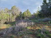 Photo 1 for 36250 N 10750 E