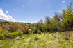 Photo 2 for 2141 E Oak Ln