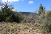 Photo 6 for 2267 S High Mountain Dr