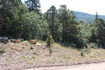 Photo 3 for 2289 S High Mountain Dr