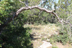 Photo 2 for 2289 S High Mountain Dr