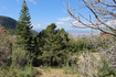 Photo 6 for 2289 S High Mountain Dr