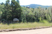 Photo 4 for 2289 S High Mountain Dr