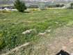 Photo 6 for 2700 N 600 W