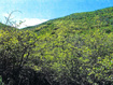 Photo 4 for 7039 W Three Mile Canyon