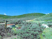 Photo 6 for 7039 W Three Mile Canyon