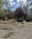 Photo 4 for 624 E 11900 S