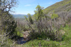 Photo 3 for 558  Mill Rd