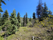 Photo 1 for 18  Pine Ridge