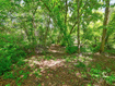 Photo 4 for 4150 N 444 W