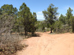 Photo 6 for 1 N Horney Toad Rd Rd #f1