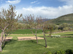 Photo 2 for 2137 S Lakeview Cir
