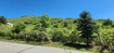 Photo 1 for 3002 E Carrigan Dr