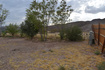 Photo 6 for 172 N 3980 W