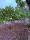 Photo 6 for 8478 S 1475 E