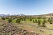 Photo 5 for 7435  Foxglove Ct