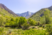 Photo 2 for 2674 E Foothill Dr