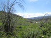 Photo 4 for 3258 N Water Cyn