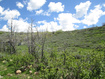 Photo 6 for 3258 N Water Cyn