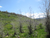 Photo 3 for 3258 N Water Cyn