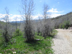 Photo 1 for 3258 N Water Cyn