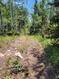 Photo 2 for 5705 N Uintah Dr