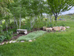 Photo 5 for 5846  Park Meadow Dr