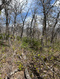 Photo 2 for 10 E Spring Mountain Dr