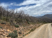 Photo 2 for 10 E Spring Mountain Dr