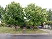 Photo 1 for 56 N 970 W