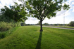 Photo 6 for 839 W Jordan Oaks Ct