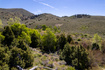 Photo 4 for 18250 N Paradise Park Rd
