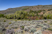 Photo 5 for 18000 N Paradise Park Rd