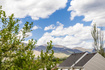 Photo 3 for 476 W Glasgow Ln