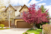 Photo 6 for 3006 E Canyon Links Dr
